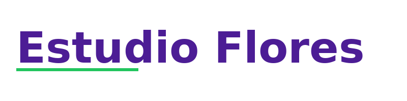 Estudio Flores logo